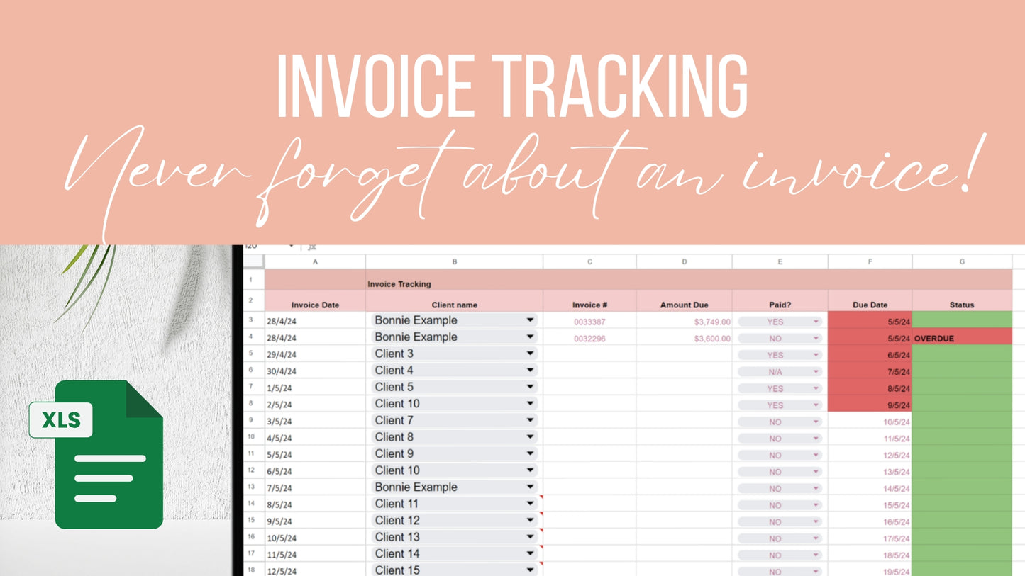 NDIS Sole Trader Client and business bookkeeping google sheet template - Launchly