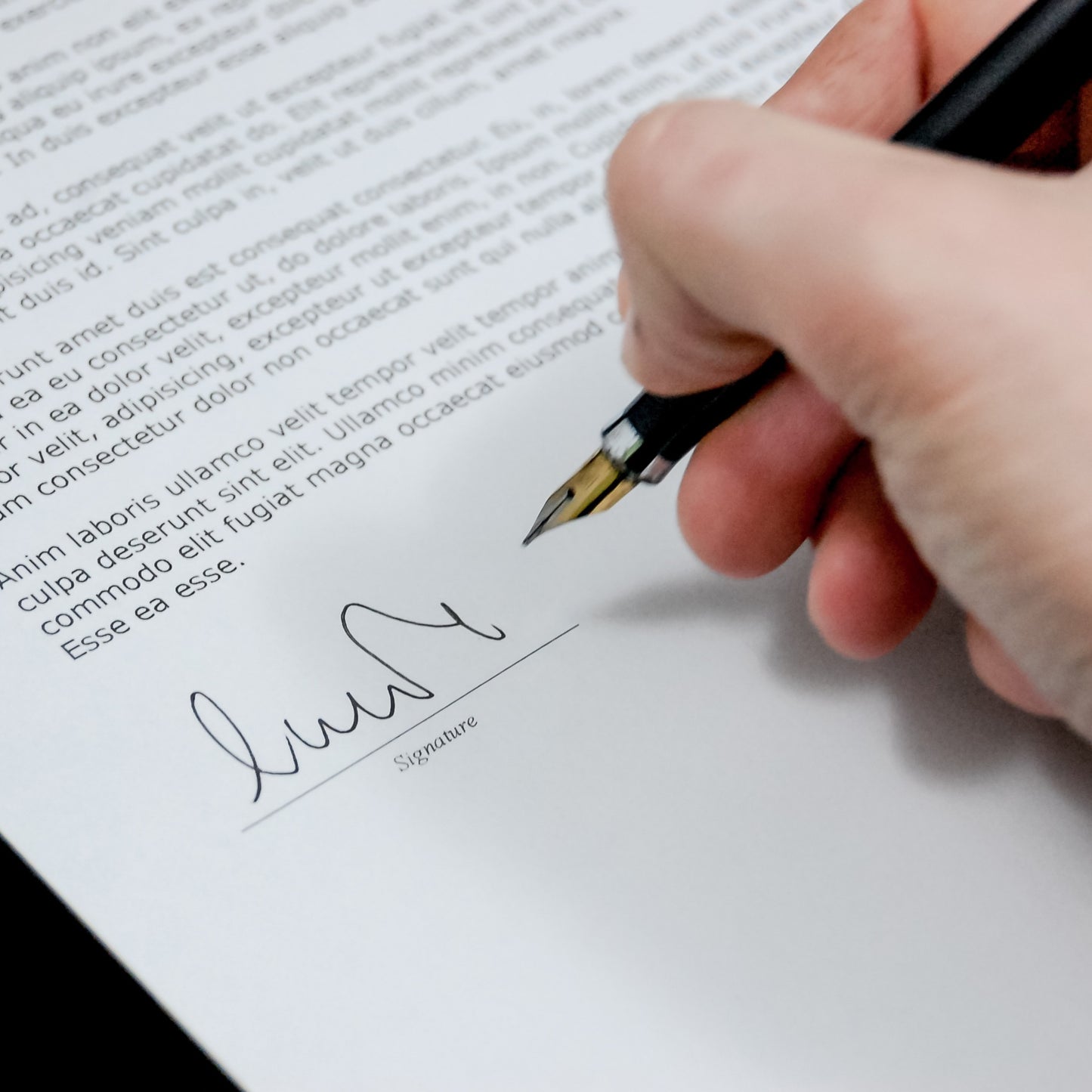 Short Term Accommodation Service Agreement Template