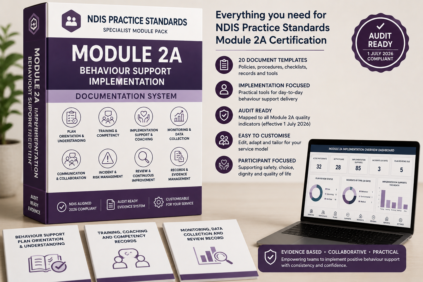 NDIS Module 3 Documentation System — Early Childhood Supports